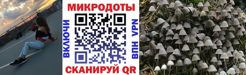 Галлюциногенные грибы мицелий Дзержинск