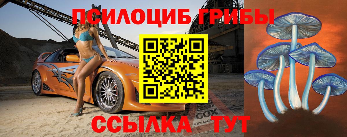 Галлюциногенные грибы Psilocybe  Вход с VPN  Дзержинск 