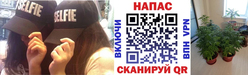 Марихуана индика Дзержинск
